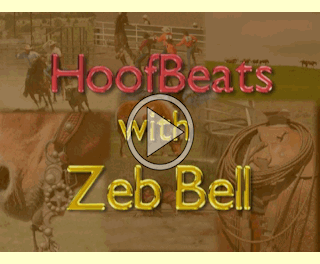 Zeb Bell on HoofBeats